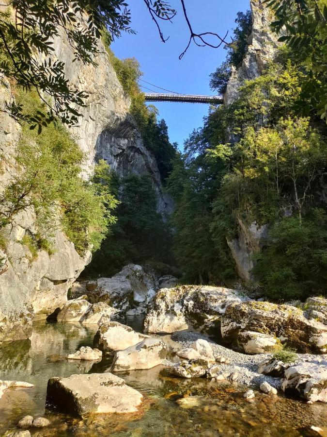 Entre Lacs Et Montagnes Cusy Ngoại thất bức ảnh